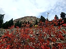 photo thumbnail #7