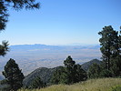 photo thumbnail #3