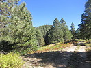photo thumbnail #11