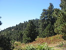 photo thumbnail #15