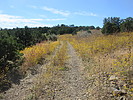 photo thumbnail #3