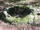 photo thumbnail #9