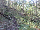 photo thumbnail #12