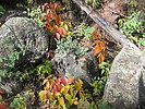 photo thumbnail #15