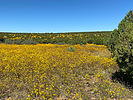 2021-10-09 :1: Whiterock Mesa - AZT #25 :: GrangerGuy