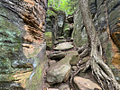 photo thumbnail #9
