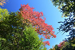 photo thumbnail #6