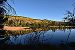 photo thumbnail #3