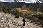 photo thumbnail #12