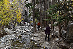 photo thumbnail #3