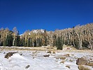 photo thumbnail #7