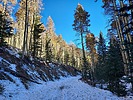 photo thumbnail #10