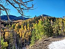 photo thumbnail #11