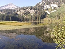 photo thumbnail #4