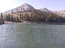 photo thumbnail #6