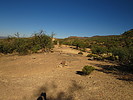 photo thumbnail #6