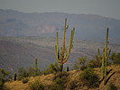 photo thumbnail #12
