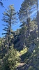 photo thumbnail #12