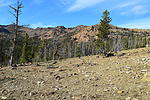 photo thumbnail #2