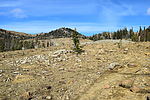 photo thumbnail #3