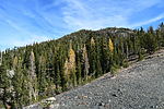 photo thumbnail #9