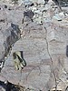 photo thumbnail #14