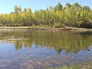 photo thumbnail #8