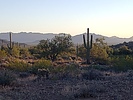 photo thumbnail #2