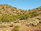 photo thumbnail #4
