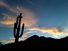 photo thumbnail #2