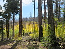 photo thumbnail #13