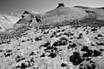 photo thumbnail #14