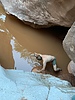 photo thumbnail #13