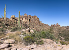 photo thumbnail #5