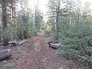 photo thumbnail #1