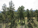 photo thumbnail #15