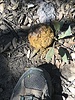 photo thumbnail #14