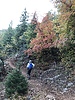 photo thumbnail #1