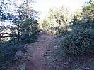 photo thumbnail #2