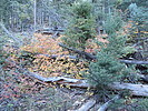 photo thumbnail #5