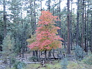 photo thumbnail #6