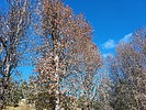 photo thumbnail #8