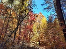 photo thumbnail #8