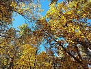 photo thumbnail #13