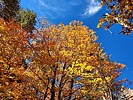 photo thumbnail #14