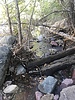 photo thumbnail #5