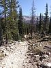 photo thumbnail #3