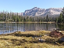 photo thumbnail #4