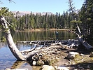 photo thumbnail #12
