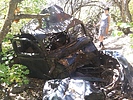 photo thumbnail #14